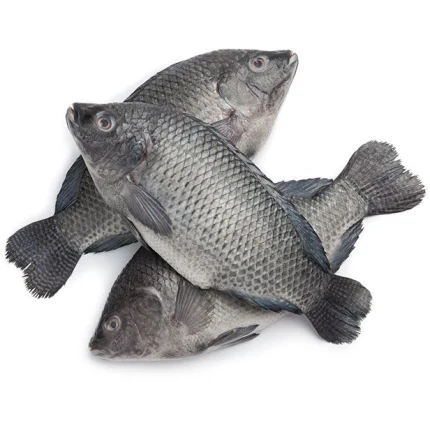 Tilapia fish - nahar food and trade